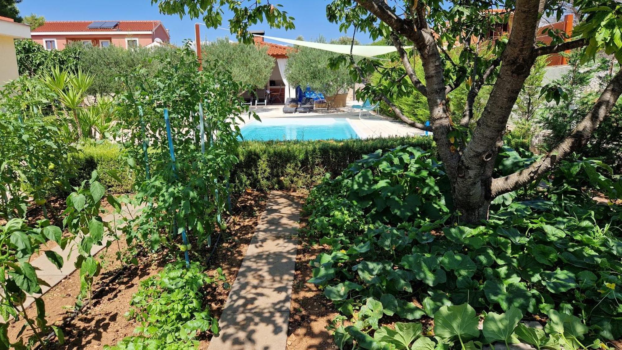 Resort Apartment Petrovic Sibenik Ngoại thất bức ảnh