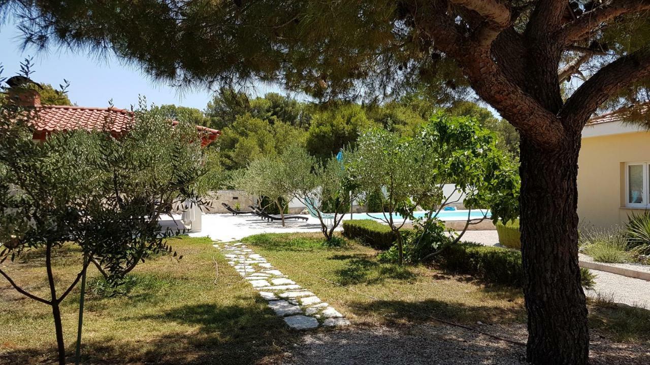 Resort Apartment Petrovic Sibenik Ngoại thất bức ảnh